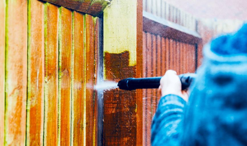 FENCE CLEANING